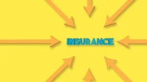 What Services Can Be Included in Insurance Process Outsourcing?